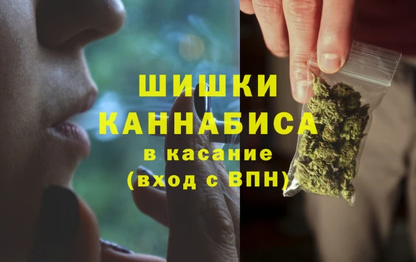 шишки Киренск