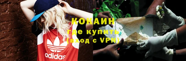 гидропоника Кодинск