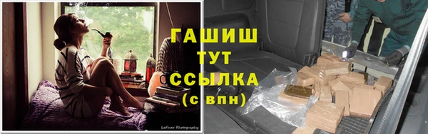шишки Киренск