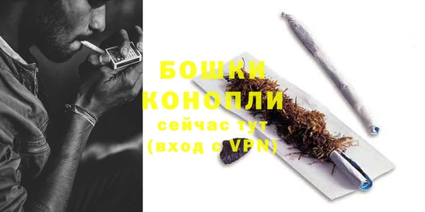 дурь Кинешма