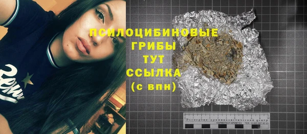 шишки Киренск