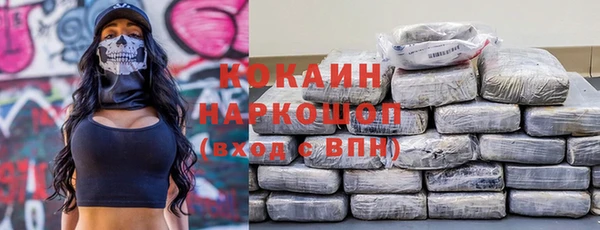 шишки Киренск