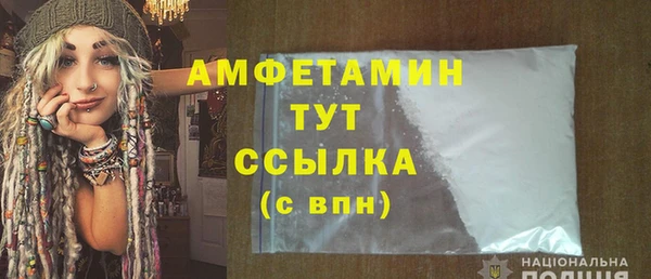 шишки Каменка