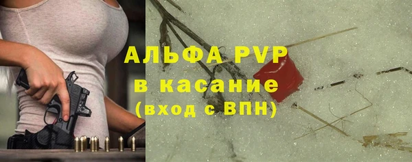 шишки Киренск